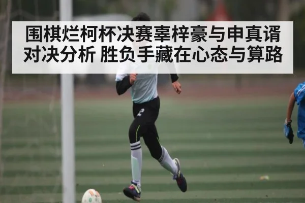 围棋烂柯杯决赛辜梓豪与申真谞对决分析 胜负手藏在心态与算路 - kaiyun