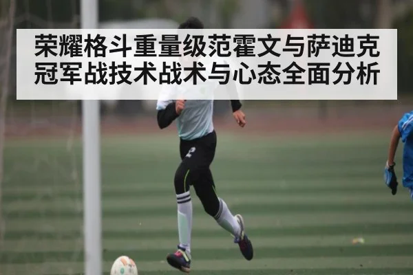 荣耀格斗重量级范霍文与萨迪克冠军战技术战术与心态全面分析 - kaiyun